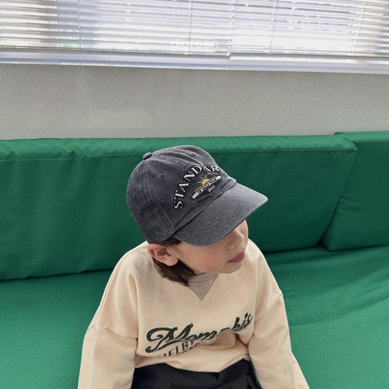 Standard denim Cap