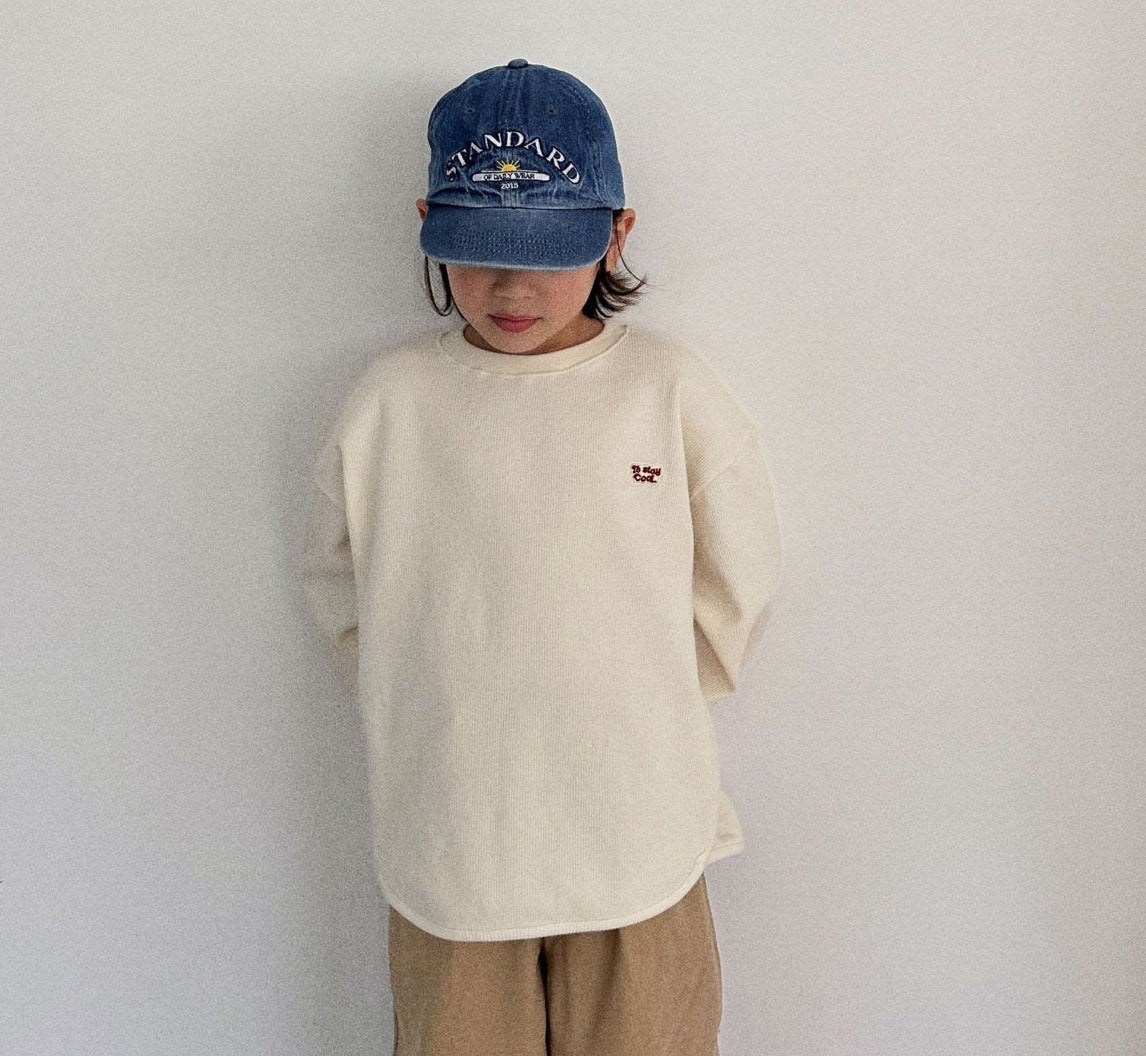 Standard denim Cap